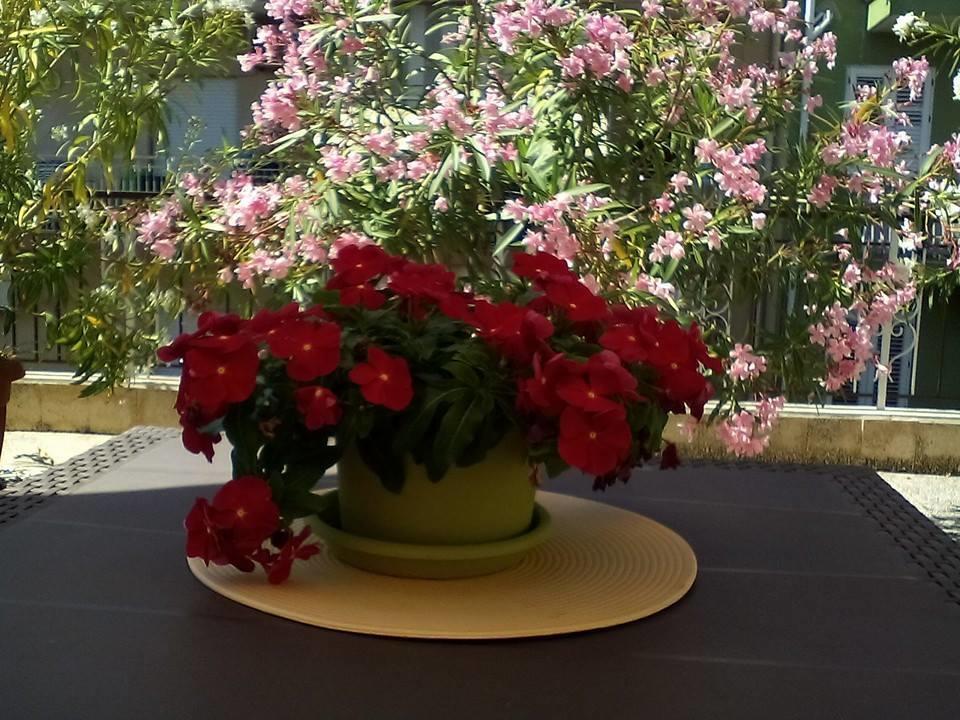 Apartamento Il Terrazzo Di Oleandri Bagheria Habitación foto